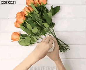 马桶堵住了怎么办，家里马桶堵住怎么处理（用不起眼的它就能轻松搞定）