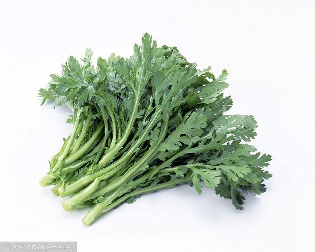 茼蒿是什么，茼蒿是什么科属（中药材茼蒿）