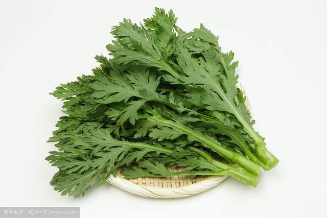 茼蒿是什么，茼蒿是什么科属（中药材茼蒿）