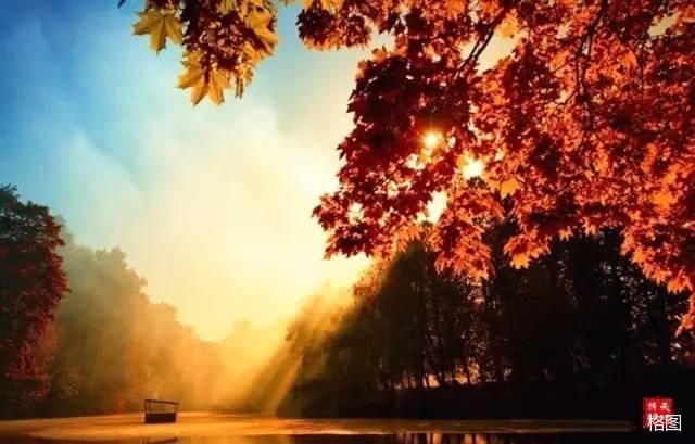 什shen组词2个字，一年级什shen怎么组词（昨日登高罢）