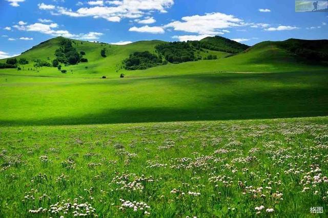 什shen组词2个字，一年级什shen怎么组词（昨日登高罢）