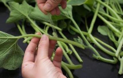 图片[4]-【素炒南瓜藤】做法步骤图 比吃肉还香 市场才1块钱1斤-起舞食谱网