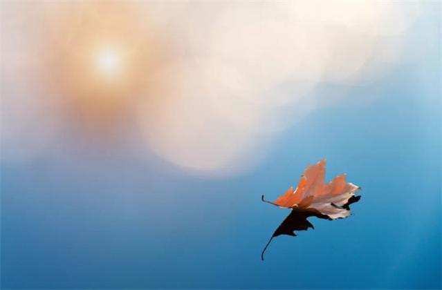 王充读书的启示，王充读书（古代廉洁清正的10句警示名言）