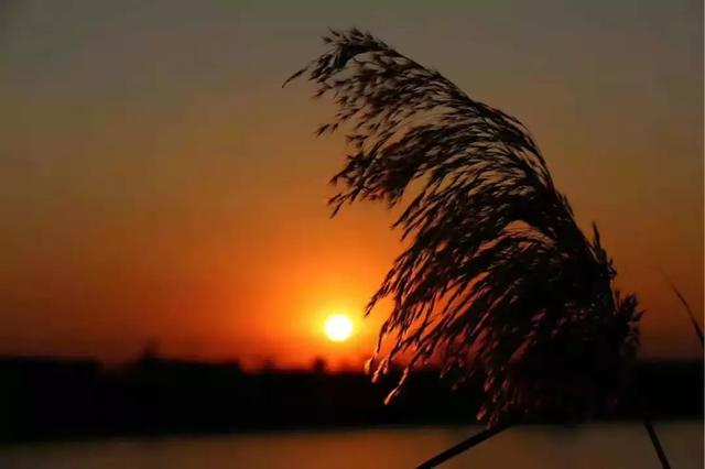 悔的意思，诲的意思和组词（艺不少学过时悔）