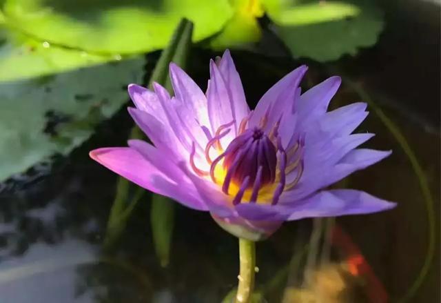 悔的意思，诲的意思和组词（艺不少学过时悔）