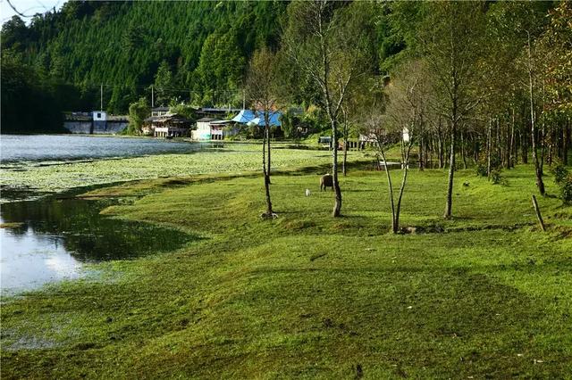 黑河腾冲线有什么地理意义，黑河腾冲一线地理意义是什么（横跨3700公里从瑷珲到腾冲）