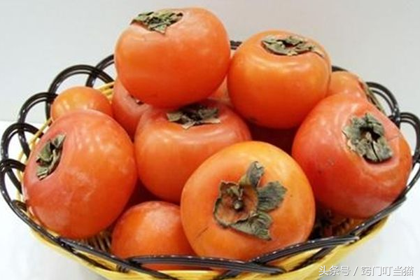硬柿子的功效与作用，柿子的营养价值与功效（柿子是软的好吃还是硬的好吃）