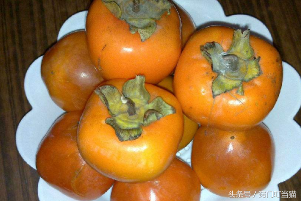 硬柿子的功效与作用，柿子的营养价值与功效（柿子是软的好吃还是硬的好吃）