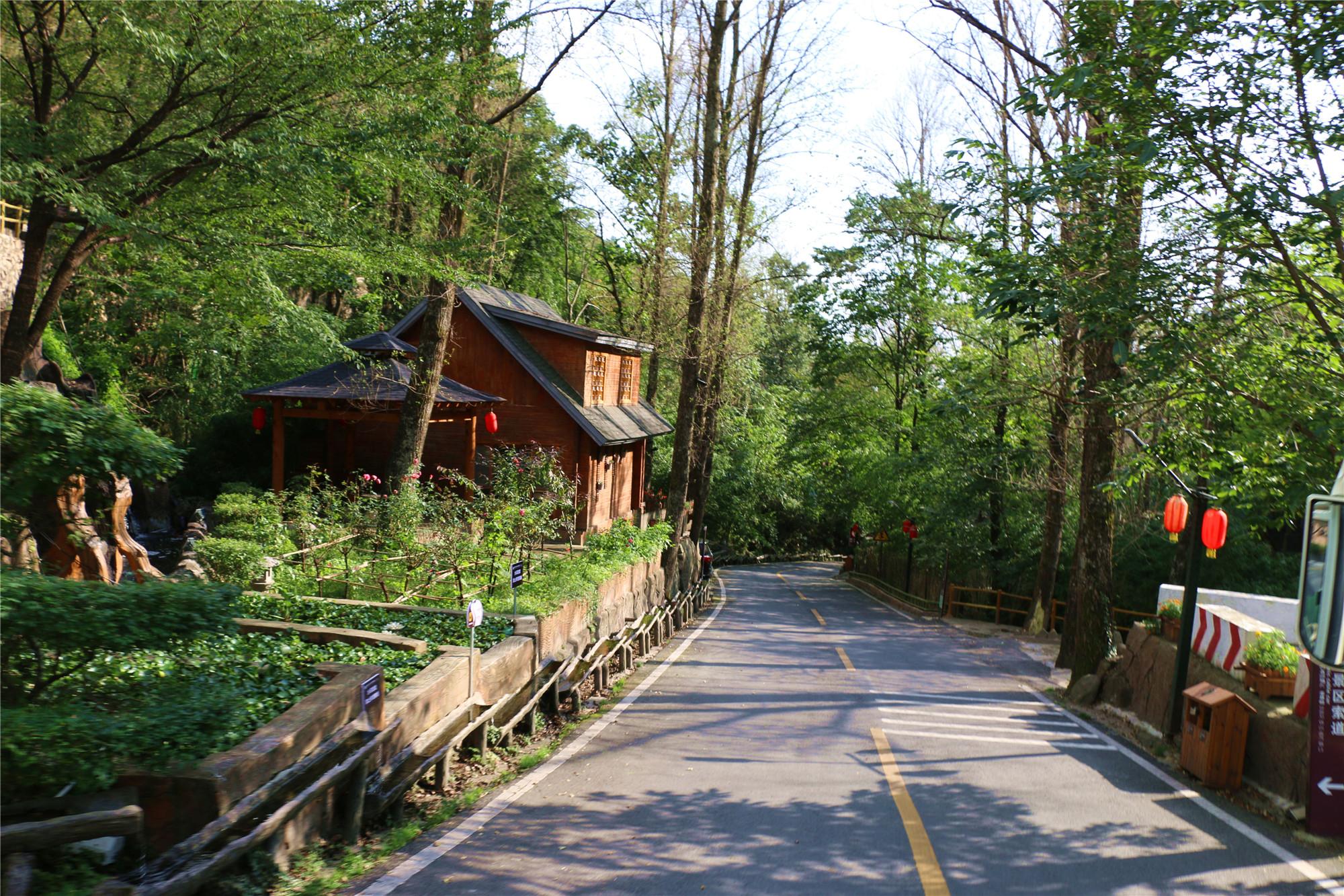 老界岭木屋能住几个人(避暑养生地) 