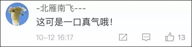 回旋纸飞机怎么折，折只会回旋的纸飞机（纸飞机扔之前哈一口气能飞的更远）