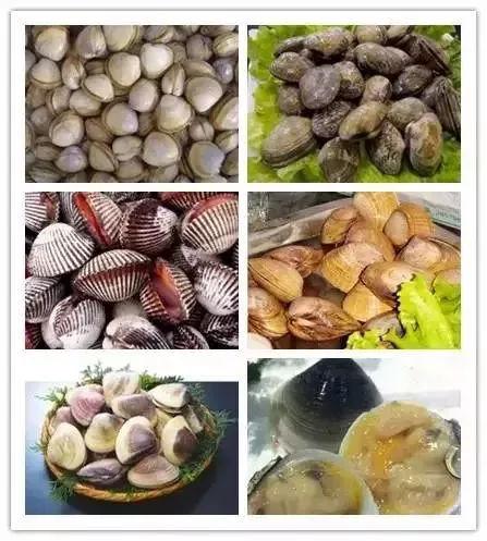 毛蚶子里面黑色的东西能吃吗，毛蚶子里面黑色的东西能吃吗是什么（正当吃海鲜的季节）