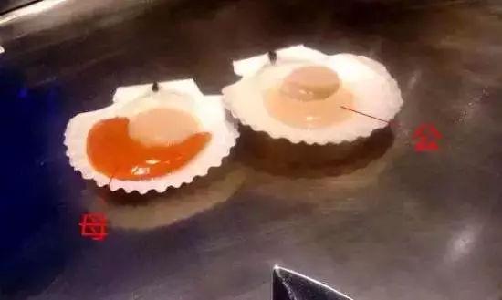 毛蚶子里面黑色的东西能吃吗，毛蚶子里面黑色的东西能吃吗是什么（正当吃海鲜的季节）