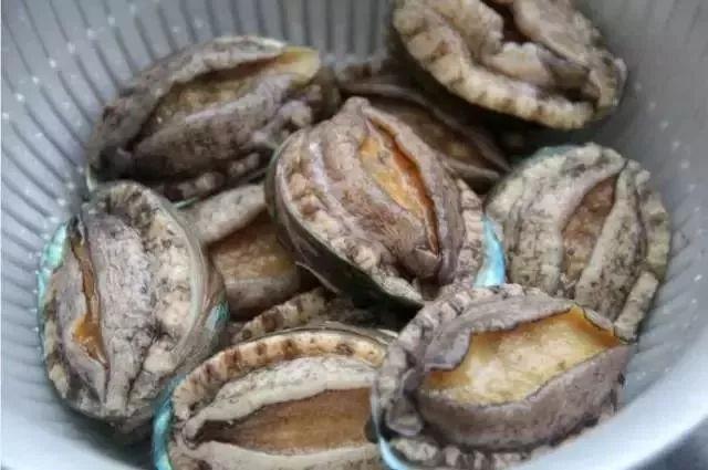 毛蚶子里面黑色的东西能吃吗，毛蚶子里面黑色的东西能吃吗是什么（正当吃海鲜的季节）