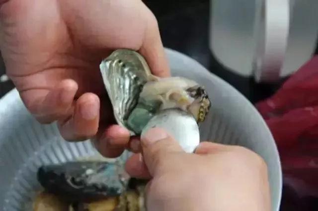 毛蚶子里面黑色的东西能吃吗，毛蚶子里面黑色的东西能吃吗是什么（正当吃海鲜的季节）