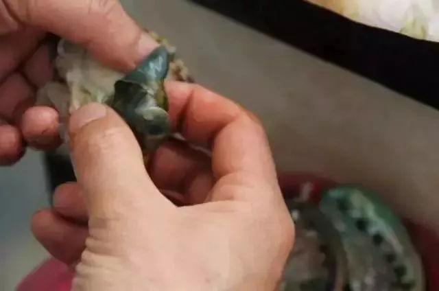毛蚶子里面黑色的东西能吃吗，毛蚶子里面黑色的东西能吃吗是什么（正当吃海鲜的季节）