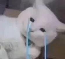 r18里抹布是什么意思，mob在cp圈的意思（“如何把地摊货穿成名牌货）