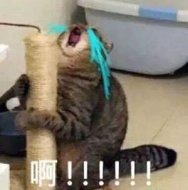 r18里抹布是什么意思，mob在cp圈的意思（“如何把地摊货穿成名牌货）