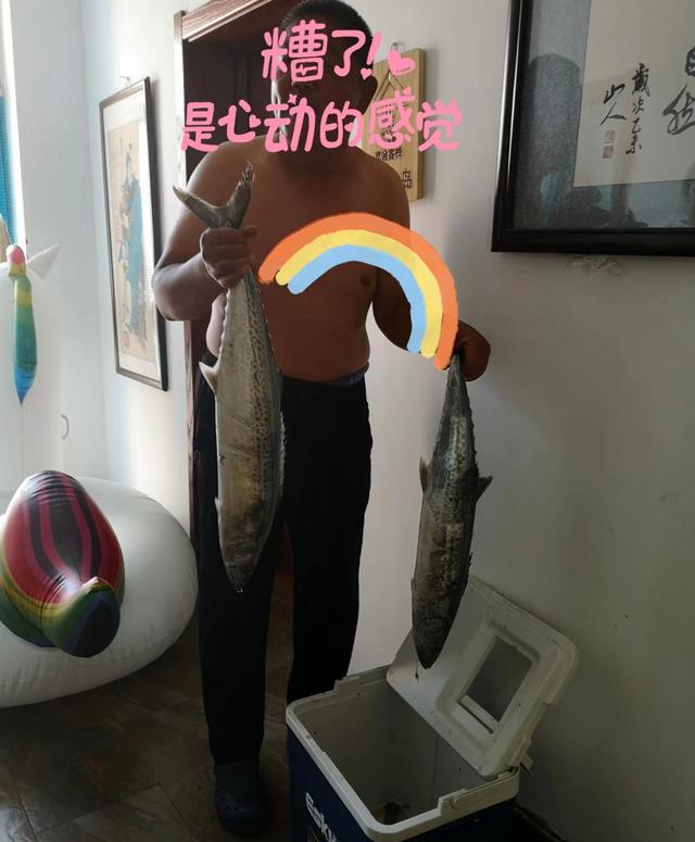 鲅鱼是马鲛鱼吗，马鲛鱼是鲅鱼吗（过年的时候最贵也最好吃）