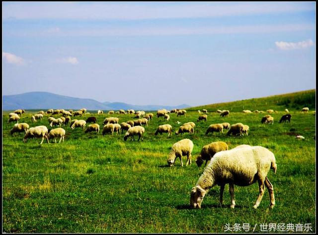 蒙古族民歌经典歌曲，找几首好听的蒙古族民歌或者其它新民歌！（12首经典蒙古歌曲，好听极了）