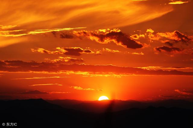 龙虎门演员表，看完《无双》发出一声感慨（上海滩龙虎门演员表）