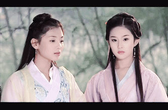 刘涛演阿朱是哪一年的，《天龙八部》的两大阿朱的版本