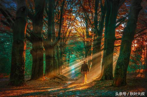 真正想锻炼你的领导，如何看出领导想锻炼你（不会在这三件事上和你计较）