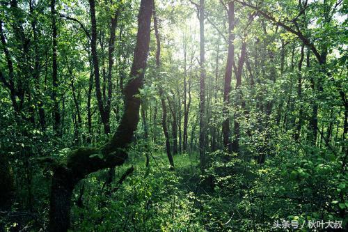 真正想锻炼你的领导，如何看出领导想锻炼你（不会在这三件事上和你计较）