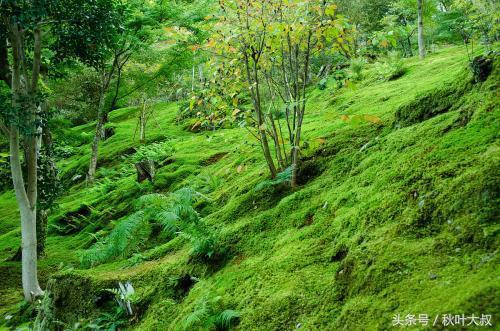 真正想锻炼你的领导，如何看出领导想锻炼你（不会在这三件事上和你计较）