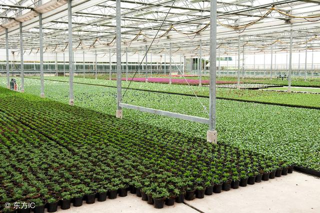 建筑分类一类二类三类四类，2021单招十大类分别是什么（走进建筑之——房屋建筑的分类）