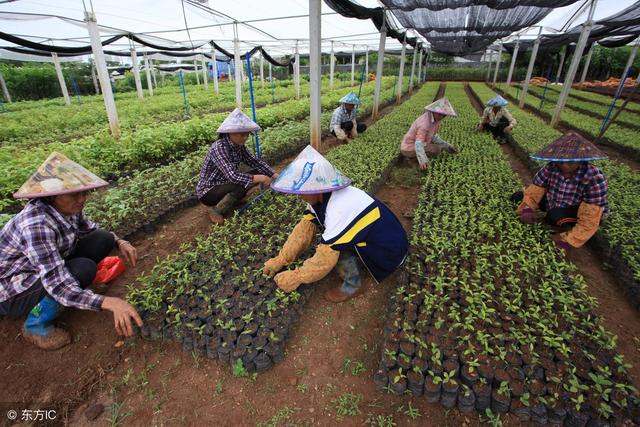 建筑分类一类二类三类四类，2021单招十大类分别是什么（走进建筑之——房屋建筑的分类）