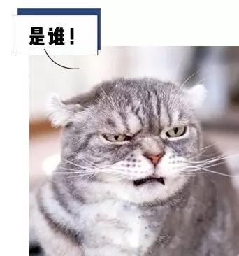 意大利教师罗伯特，作业是谁发明（是他发明了家庭作业）