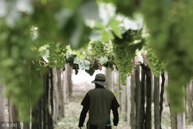 禅语静心的句子，六字静心禅语（净化心灵的句子）