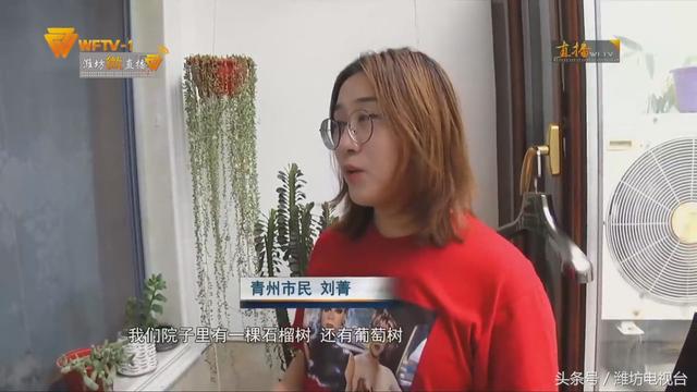 狗拿耗子正确方法，青州：狗拿耗子 也是看家正事