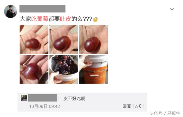 葡萄皮可以吃吗，葡萄皮能吃吗（辟谣：葡萄皮真的不能吃吗）