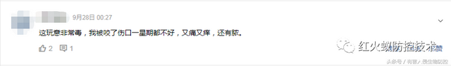 火蚁咬伤红肿怎么办，红火蚁咬伤后如何消肿（正确的处理方法是这样）