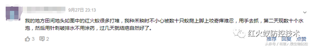 火蚁咬伤红肿怎么办，红火蚁咬伤后如何消肿（正确的处理方法是这样）