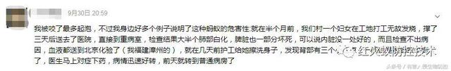 火蚁咬伤红肿怎么办，红火蚁咬伤后如何消肿（正确的处理方法是这样）
