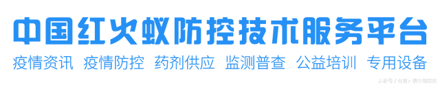 火蚁咬伤红肿怎么办，红火蚁咬伤后如何消肿（正确的处理方法是这样）