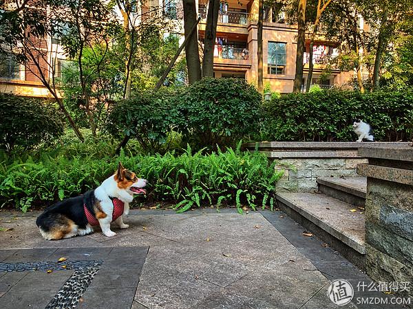 苹果xrmax，苹果xr和苹果xs max该怎么选（Max详细评测附带充电器推荐）