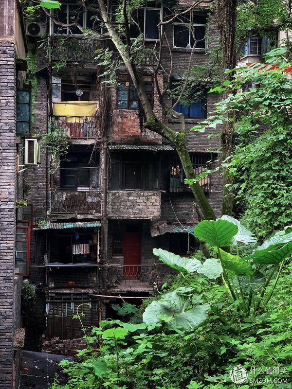 苹果xrmax，苹果xr和苹果xs max该怎么选（Max详细评测附带充电器推荐）