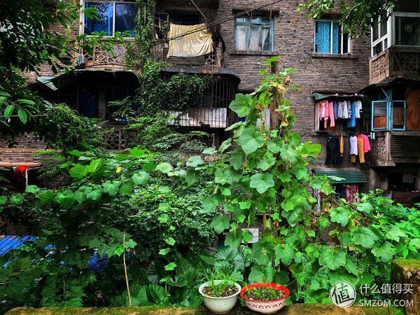 苹果xrmax，苹果xr和苹果xs max该怎么选（Max详细评测附带充电器推荐）