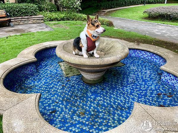 苹果xrmax，苹果xr和苹果xs max该怎么选（Max详细评测附带充电器推荐）