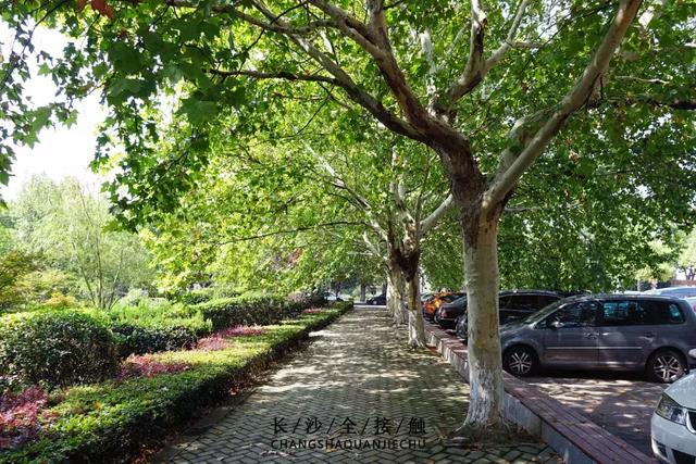 湖南财经经济学院，谁帮我解释一下“湖南大学”，“湖南财政经济学院”，“湖南财经学院（你好，湖南财政经济学院！）