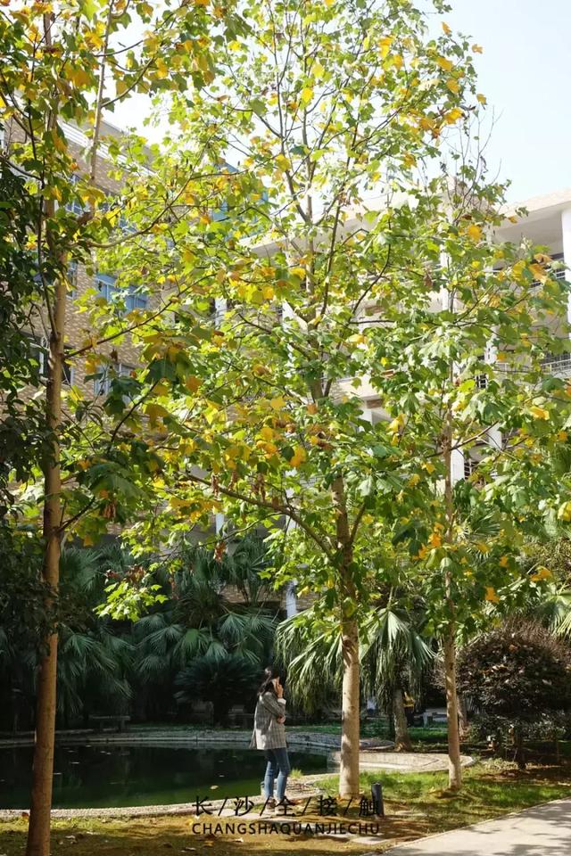 湖南财经经济学院，谁帮我解释一下“湖南大学”，“湖南财政经济学院”，“湖南财经学院（你好，湖南财政经济学院！）