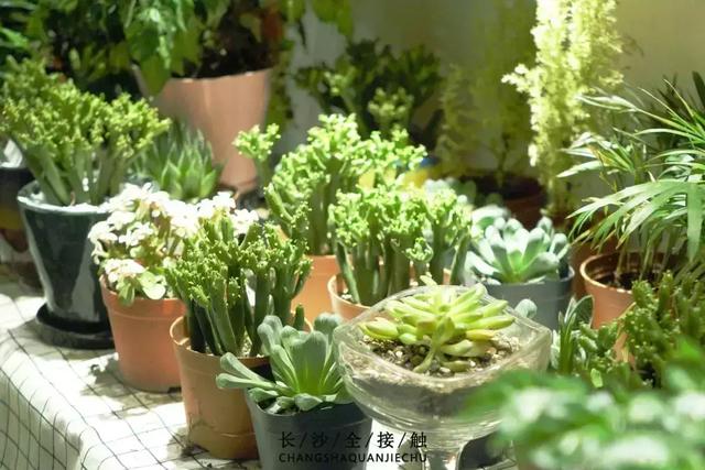 湖南财经经济学院，谁帮我解释一下“湖南大学”，“湖南财政经济学院”，“湖南财经学院（你好，湖南财政经济学院！）