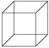 正方体的特征是什么，正方体有哪些特征（一年级上数学第四单元知识点）