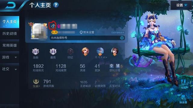 心悦是什么意思（王者荣耀数字大揭秘）