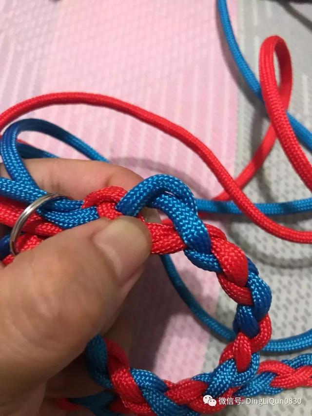 狗狗牵引绳怎么套，狗绳怎么套（实用的简单多功能小花、狗狗牵引绳的制作）