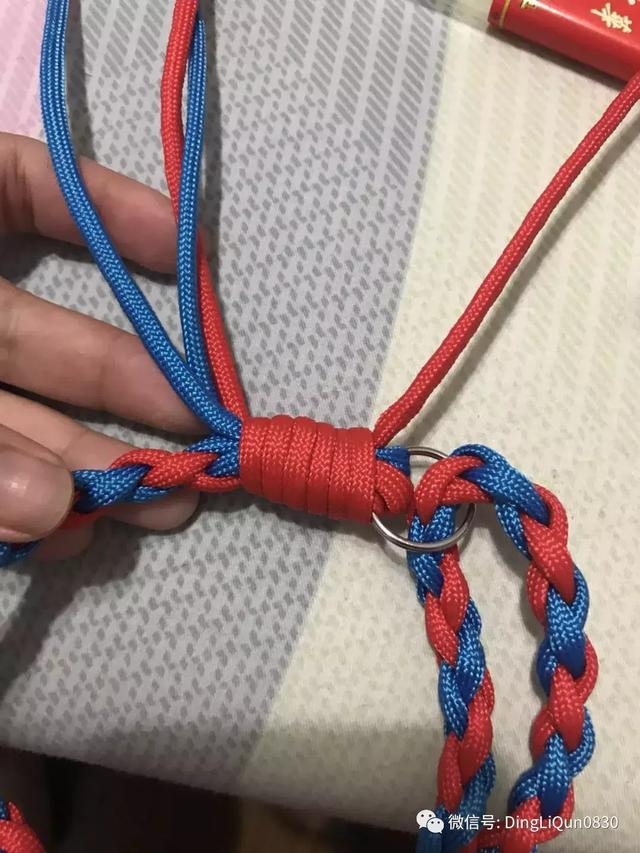 狗狗牵引绳怎么套，狗绳怎么套（实用的简单多功能小花、狗狗牵引绳的制作）
