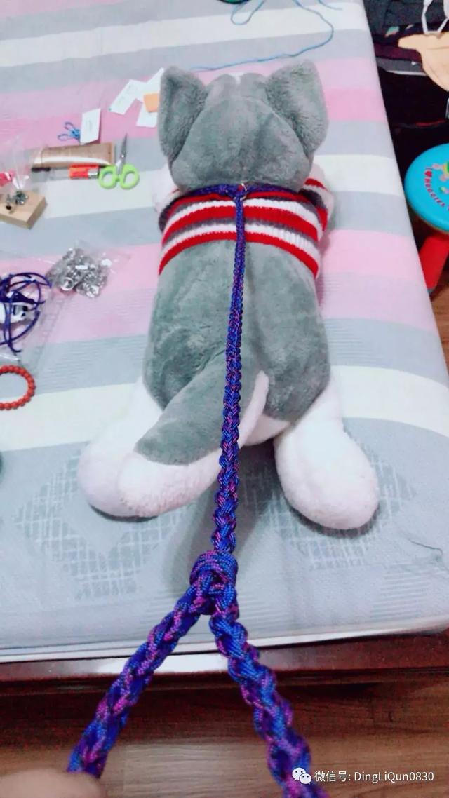 狗狗牵引绳怎么套，狗绳怎么套（实用的简单多功能小花、狗狗牵引绳的制作）